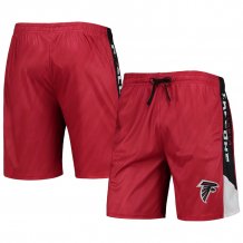 Atlanta Falcons - Static Mesh NFL Shorts