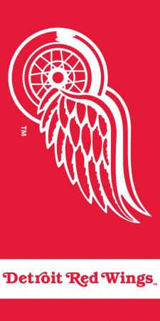 Detroit Red Wings - Team Logo NHL Strandtuch