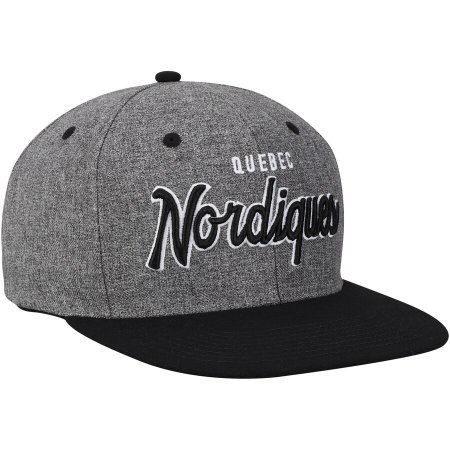 Quebec Nordiques - Culture Neutral Wordmark NHL Czapka