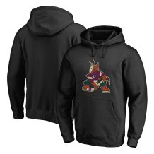 Arizona Coyotes - Team Alternate NHL Bluza s kapturem