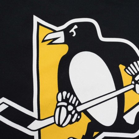 Pittsburgh Penguins - Franchise Overhead NHL Bluza s kapturem