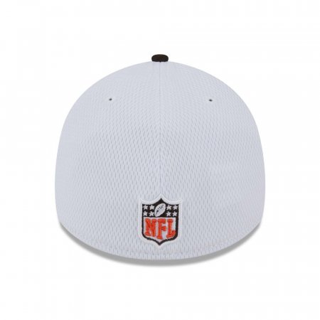 Cleveland Browns - On Field 2023 Sideline 39Thirty NFL Hat