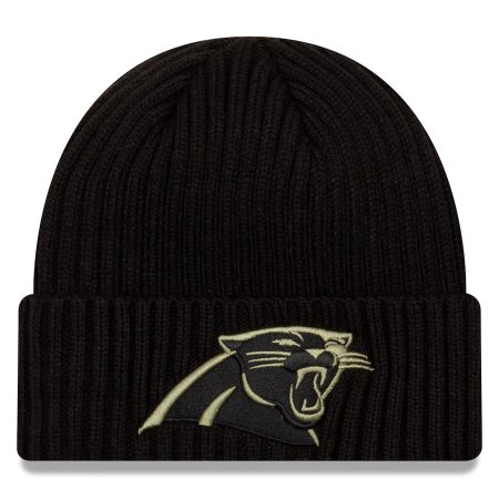 Carolina Panthers - 2020 Salute to Service NFL Knit hat