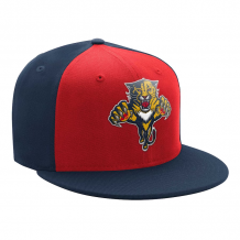 Florida Panthers - Logo Two-Tone NHL Šiltovka