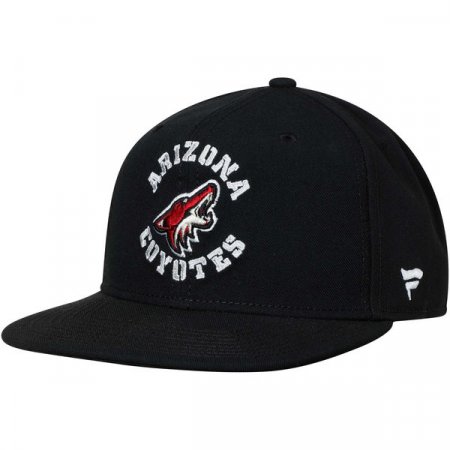 Arizona Coyotes Youth - Iconic Emblem NHL Hat