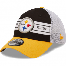 Pittsburgh Steelers - Team Branded 39Thirty NFL Hat