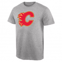 Calgary Flames - Primary Logo Gray NHL T-shirt