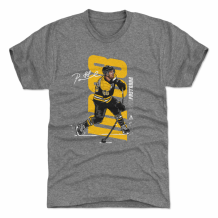 Boston Bruins - David Pastrnak Vertical Gray NHL T-Shirt