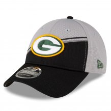 Green Bay Packers - Colorway Sideline 9Forty NFL Čiapka sivá
