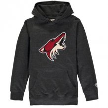 Arizona Coyotes Youth -  Powell Applique NHL Sweatshirt