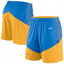 Los Angeles Chargers - Primary Lockup NFL Shorts