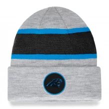 Carolina Panthers - Team Logo Gray NFL Knit Hat