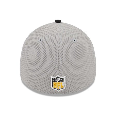 Pittsburgh Steelers - Colorway 2023 Sideline 39Thirty NFL Hat
