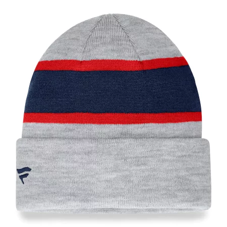 Houston Texans - Team Logo Gray NFL Knit Hat