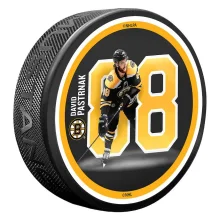 Boston Bruins - David Pastrnak Breakout NHL Puck