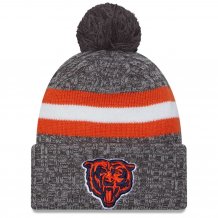 Chicago Bears - 2023 Sideline Sport Gray NFL Wintermütze