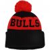 Chicago Bulls - Sport Logo NBA Knit Hat