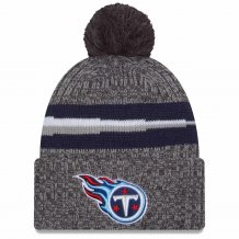 Tennessee Titans - 2023 Sideline Sport Gray NFL Knit hat
