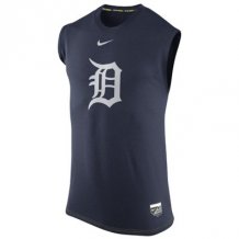 Detroit Tigers - Dri-FIT Legend Logo MLB Tshirt