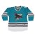 San Jose Sharks Youth - Team Logo Replica NHL Jersey/Customized
