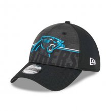 Carolina Panthers - 2023 Training Camp 39Thirty Flex NFL Hat