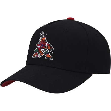 Arizona Coyotes Youth - Snapback NHL Hat