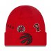 Toronto Raptors - Identity Cuffed NBA Knit hat