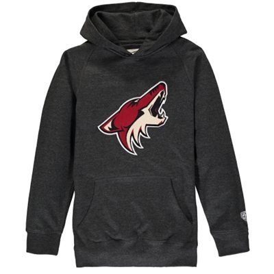 Arizona Coyotes Kinder -  Powell Applique NHL Sweatshirt