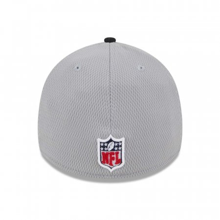 Houston Texans - Colorway 2023 Sideline 39Thirty NFL Hat
