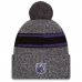 Baltimore Ravens - 2023 Sideline Sport Gray NFL Zimná čiapka