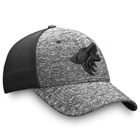 Arizona Coyotes - Authentic Pro Trucker Flex NHL Hat