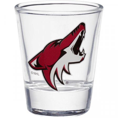 Arizona Coyotes - Collector NHL Glass