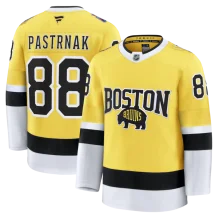 Boston Bruins - David Pastrnak 2026 Stadium Series Premium NHL Jersey