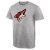 Arizona Coyotes - Primary Logo Gray NHL T-Shirt