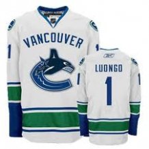 Vancouver Canucks - Roberto Luongo NHL Jersey