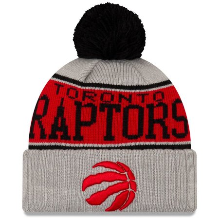 toronto raptors winter hat