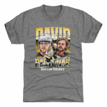 Boston Bruins - David Pastrnak Vintage Gray NHL T-Shirt