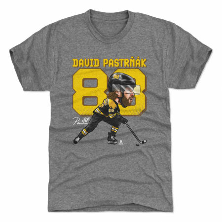 Boston Bruins Kinder - David Pastrnak Cartoon Gray NHL T-Shirt