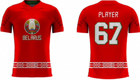 Weißrussland - 2018 Sublimated Fan T-Shirt mit Namen und Nummer