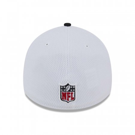 Atlanta Falcons - On Field 2023 Sideline 39Thirty NFL Hat