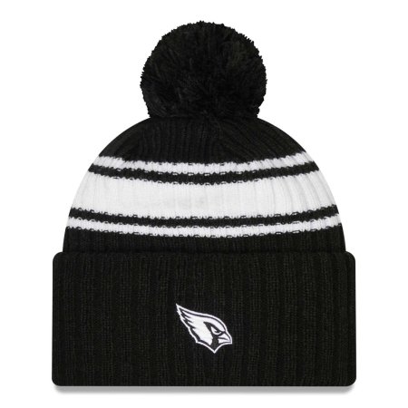 Arizona Cardinals - 2022 Sideline Black NFL Zimná čiapka