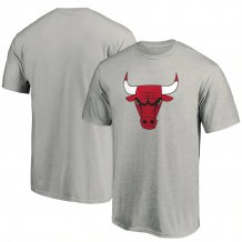 Chicago Bulls - Primary Gray NBA T-Shirt