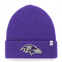 Baltimore Ravens - Secondary Basic Purple NFL Knit hat
