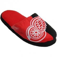 Detroit Red Wings Youth - Split Color NHL Slippers