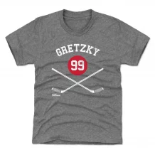 New York Rangers Dziecięcy - Wayne Gretzky Sticks Gray NHL Koszulka