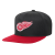 Detroit Red Wings Youth - Core Team Two-Tone NHL Hat