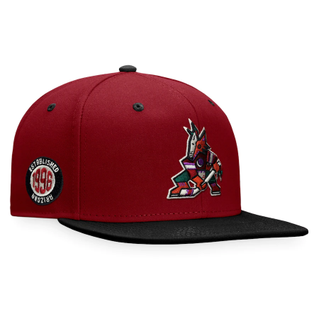 Arizona Coyotes - Primary Logo Iconic NHL Hat