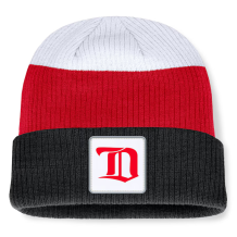 Detroit Red Wings - Retro Colorblock NHL Knit Hat