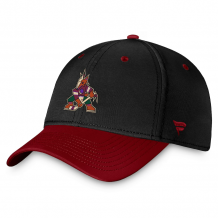 Arizona Coyotes - 2023 Authentic Pro Two-Tone Flex NHL Hat