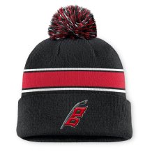 Carolina Hurricanes - 2026 Authentic Pro Alternate NHL Knit Hat
